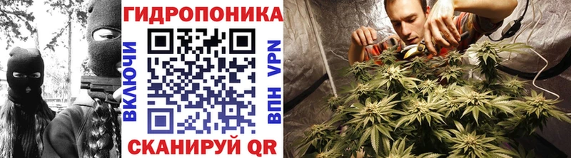 Виды наркотиков купить Агрыз НБОМе  Канабис  СК  Мефедрон  ГАШ  АМФЕТАМИН  Псилоцибиновые грибы 