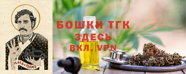 прущие крисы Арсеньев