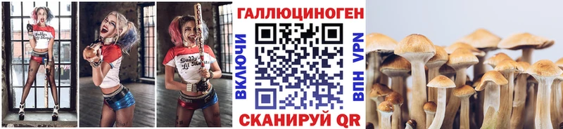 Галлюциногенные грибы MAGIC MUSHROOMS  Агрыз 
